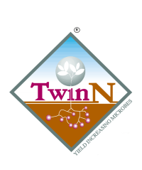 Twin N