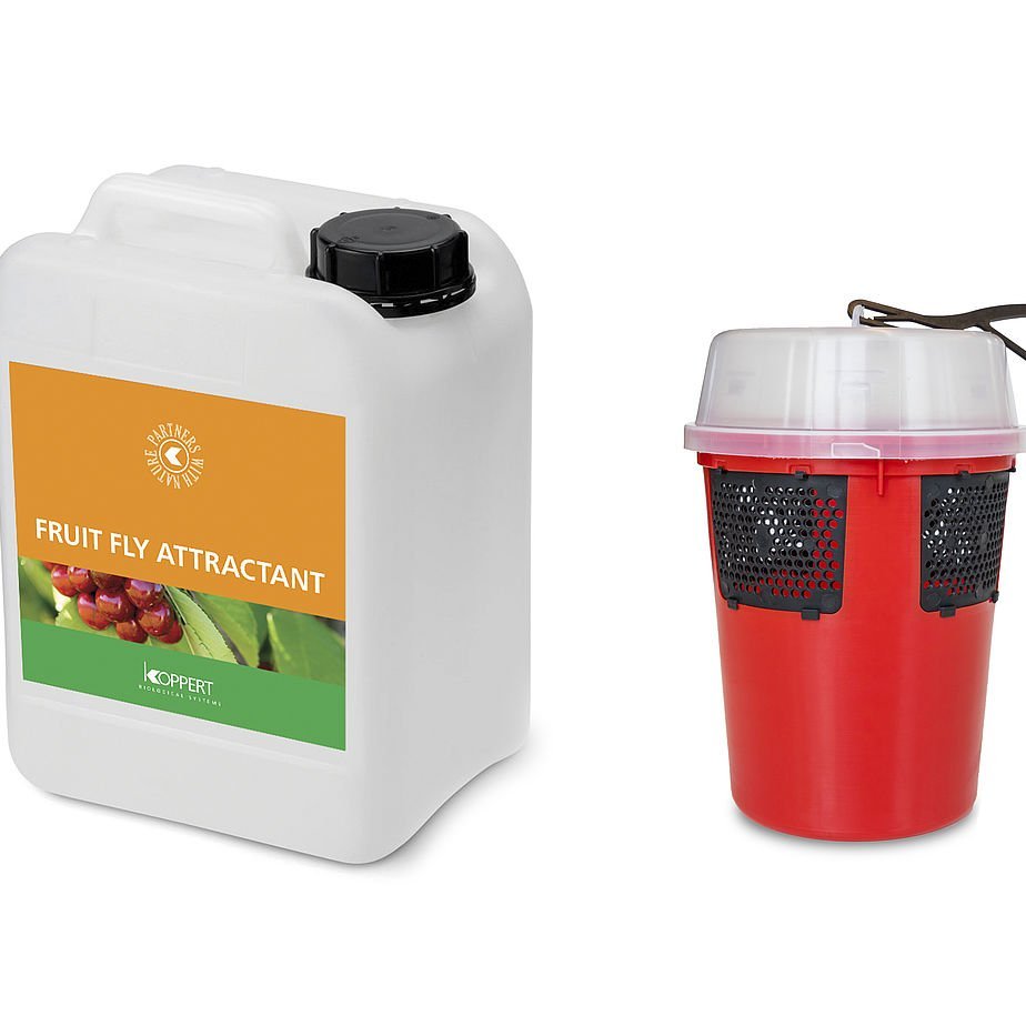 FRUIT FLY ATTRACTANT®