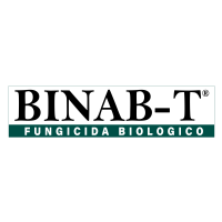 Binab T®