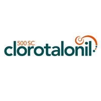 Clorotalonil 500 SC