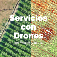 Servicios con drones