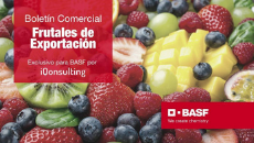 Basf Agro Chile lanza: Boletín Comercial de Frutales de Exportación