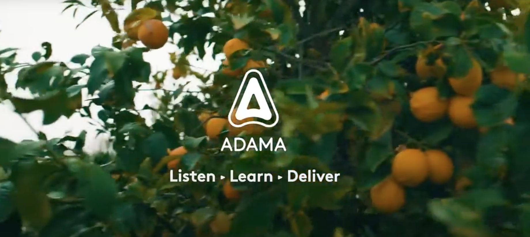 Adama, hecho por todos