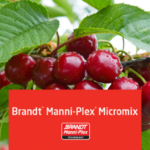 Brandt Mannni-Plex