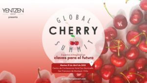 Global Cherry Summit