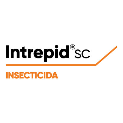 Intrepid® SC