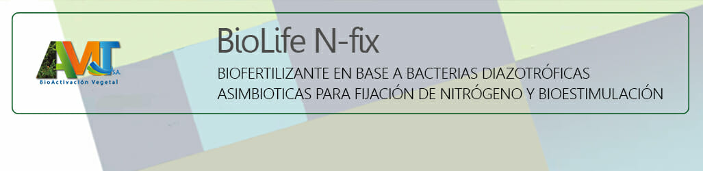 Biolife N-fix