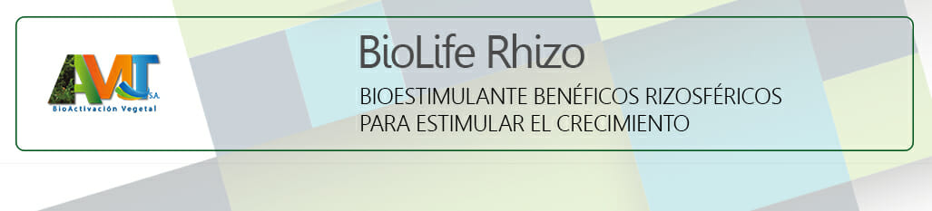 BioLife Rhizo